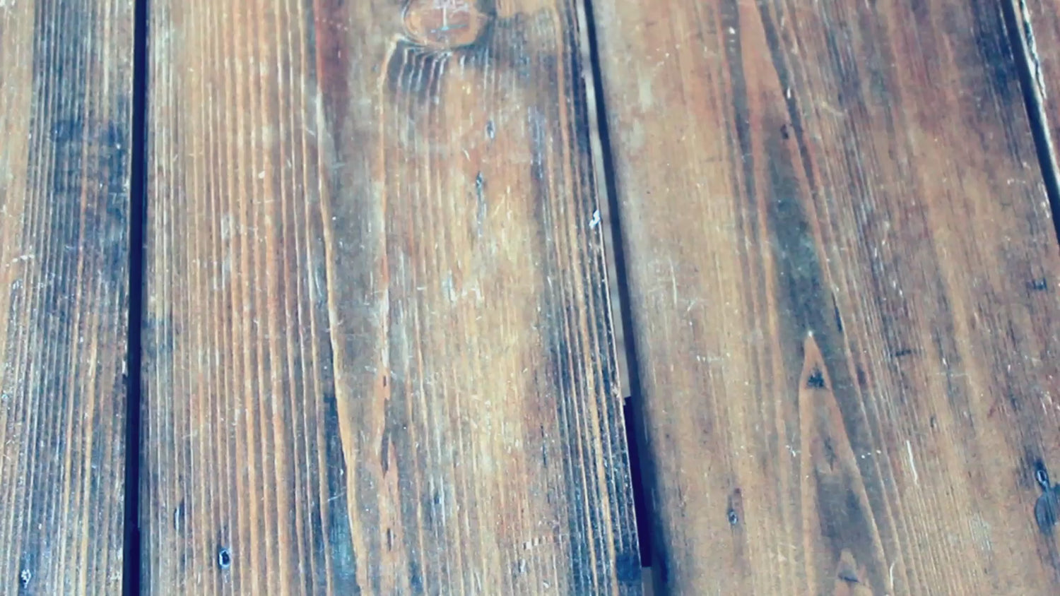 SATANIMALS unboxing video